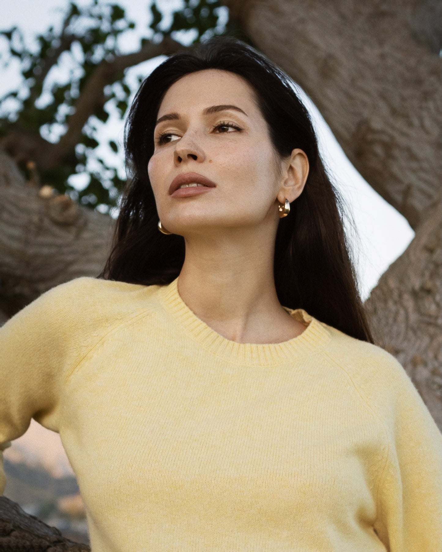 Nello Crewneck Sweater in Yellow