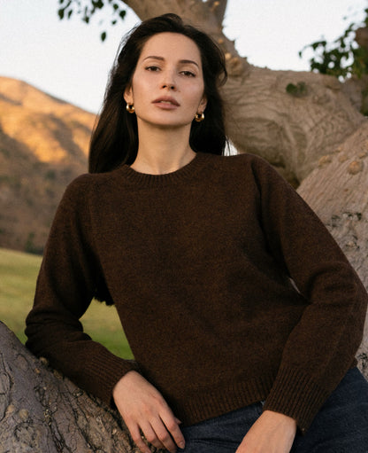 Nello Crewneck Sweater in Chocolate Brown